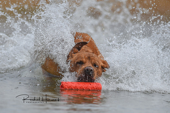 Oakley facebook copy 4